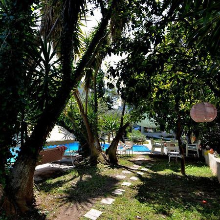 St. Thomas Bed And Breakfast Paianía 외부 사진